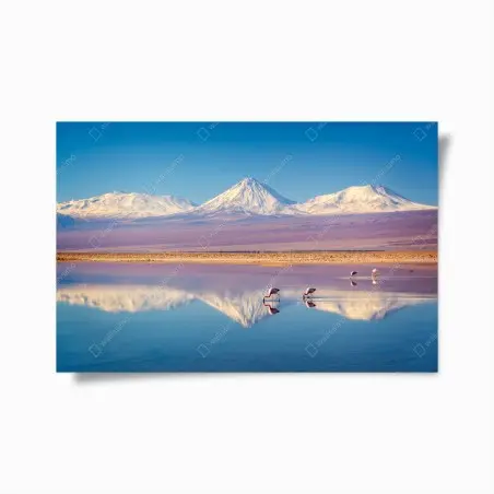Póster reflejos del volcán Licancabur en la laguna Chaxa – Pixers®