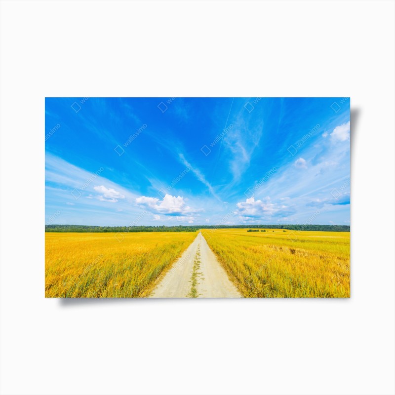 Póster camino hacia el horizonte entre campos dorados