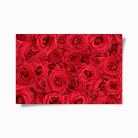 Póster abundancia de rosas rojas – Pixers®