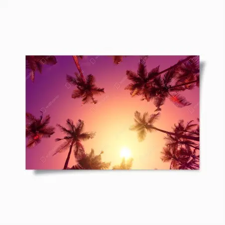 Póster atardecer tropical entre palmeras – Pixers®
