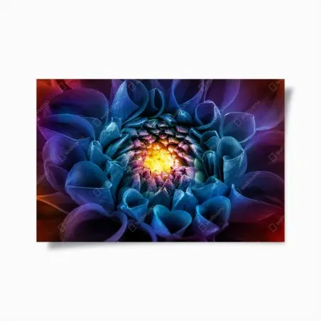 Póster crisantemo macro multicolor con corazón luminoso – Pixers®