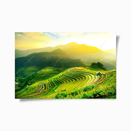 Póster arrozales en terrazas al amanecer – Pixers®