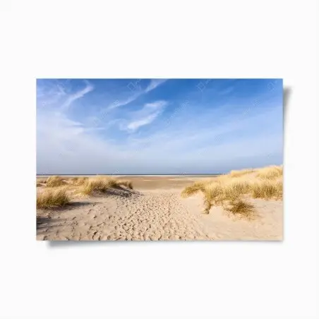 Póster dunas serenas en la costa de Alemania – Pixers®