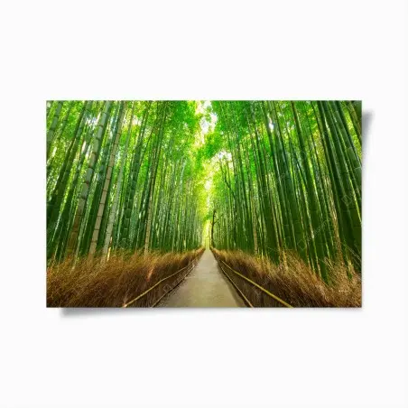 Póster paseo sereno en el bosque de bambú de Arashiyama, Kyoto – Pixers®