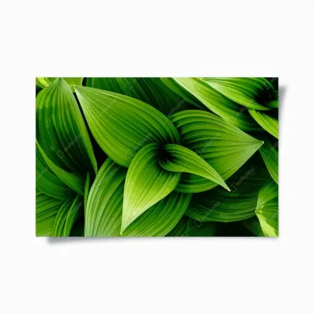 Póster follaje verde en capas – Pixers®