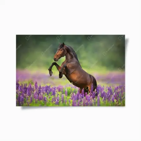 Póster semental castaño entre lupinos – Pixers®