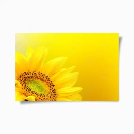 Póster girasol vibrante sobre fondo amarillo – Pixers®