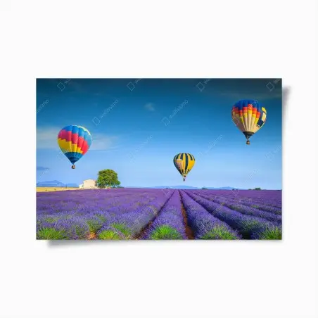 Póster lavanda y globos sobre Valensole – Pixers®