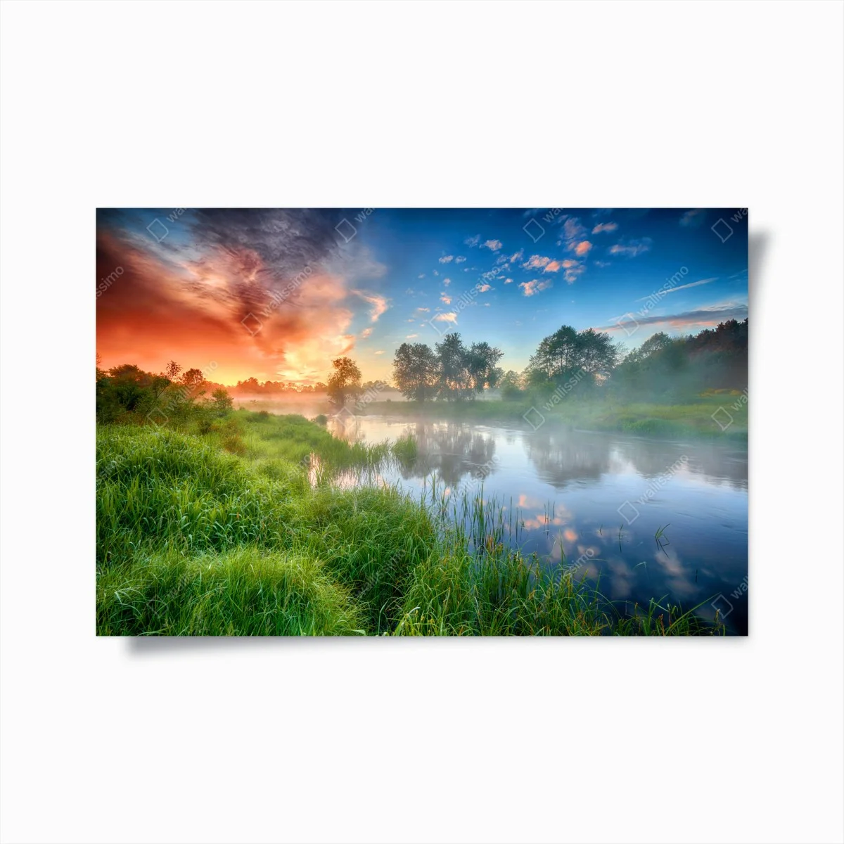 Póster amanecer dorado en la ribera del río – Pixers® Póster amanecer dorado en la ribera del río – Pixers®