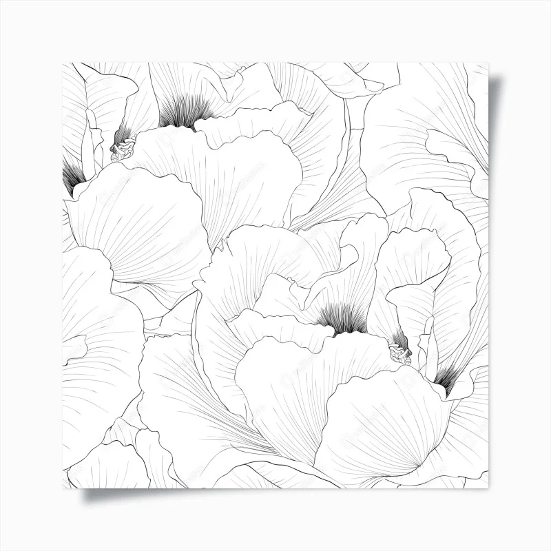 Póster diseño botánico en contorno blanco y negro
