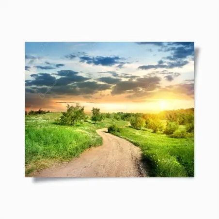 Póster camino al atardecer en campo primaveral – Pixers®