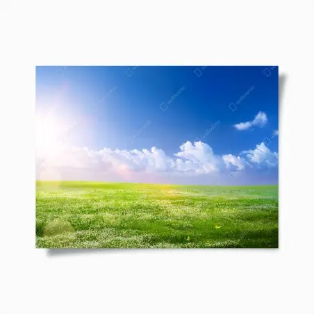 Póster pradera primaveral bajo cielo azul – Pixers®