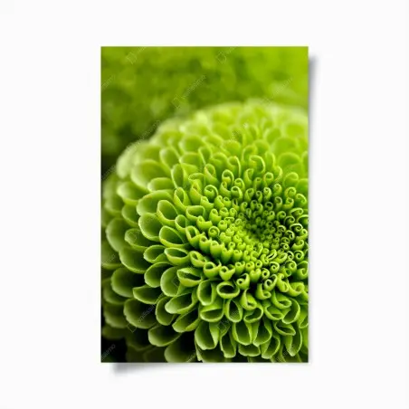 Póster patrón botánico verde en espiral – Pixers®