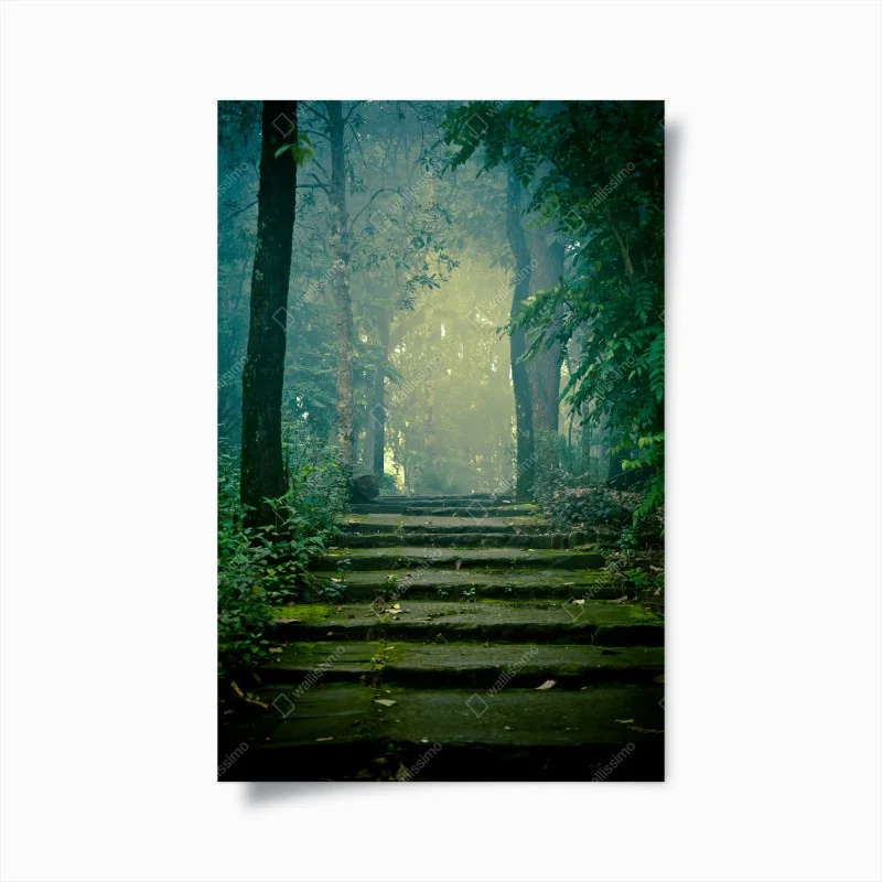 Póster escalera de piedra hacia un bosque brumoso