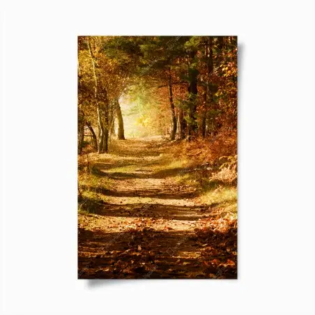Póster sendero otoñal entre árboles – Pixers®