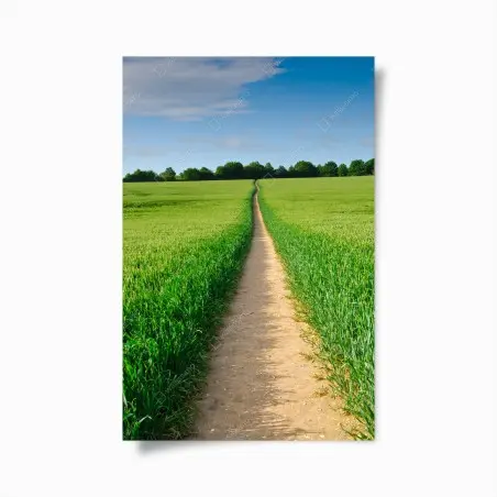 Póster camino entre campos verdes al horizonte – Pixers®