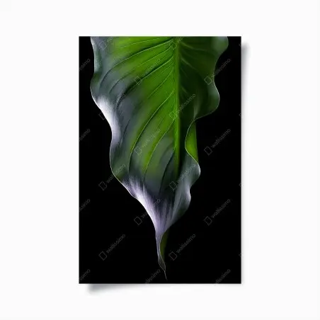 Póster hoja verde en contraste dramático – Pixers®
