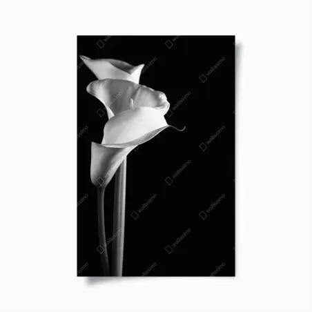 Póster elegancia de calas en blanco y negro – Pixers®