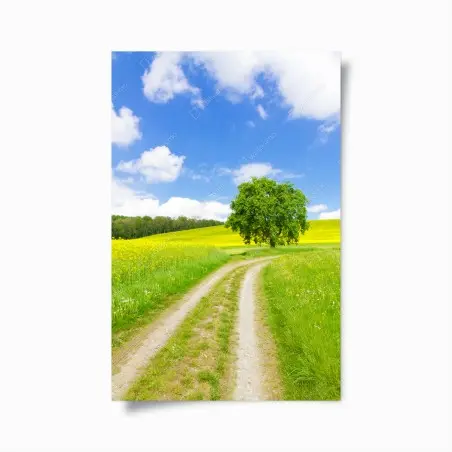 Póster camino rural entre campos amarillos – Pixers®