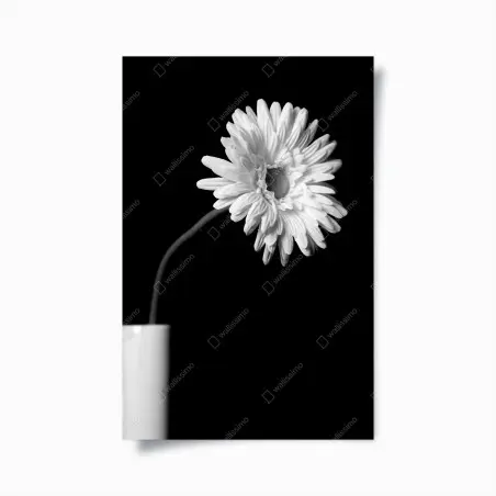 Póster margarita solitaria en alto contraste monocromo – Pixers®
