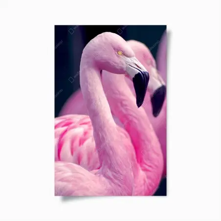 Póster elegancia rosada: retrato de flamenco – Pixers®