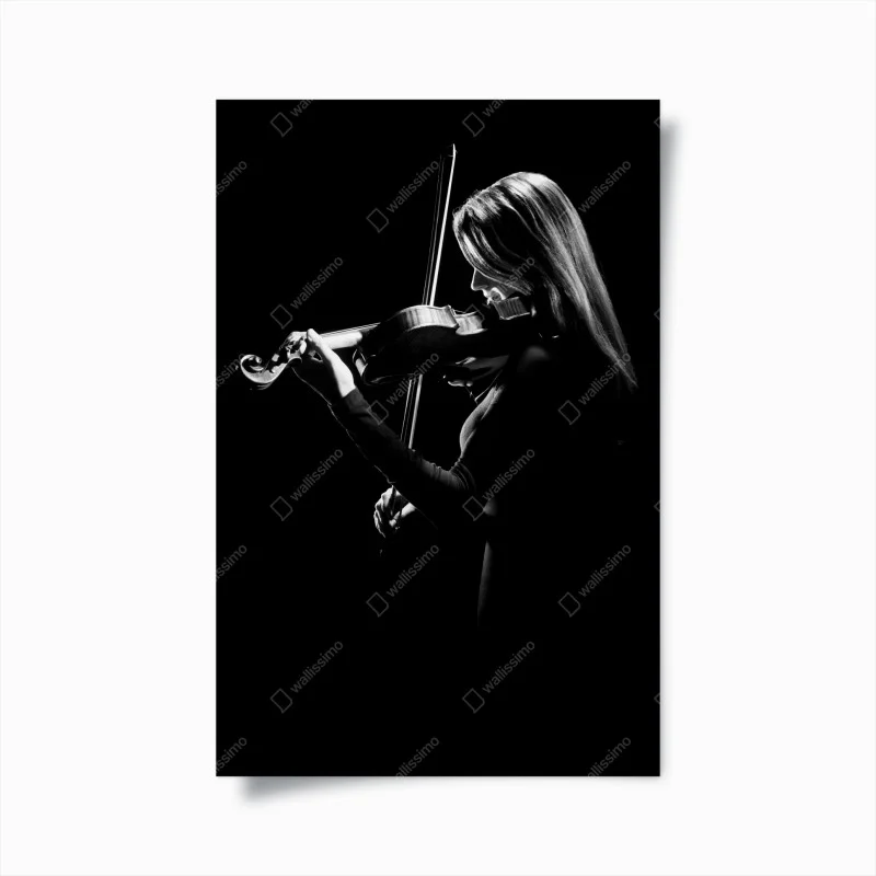 Póster violinista en luz y sombra