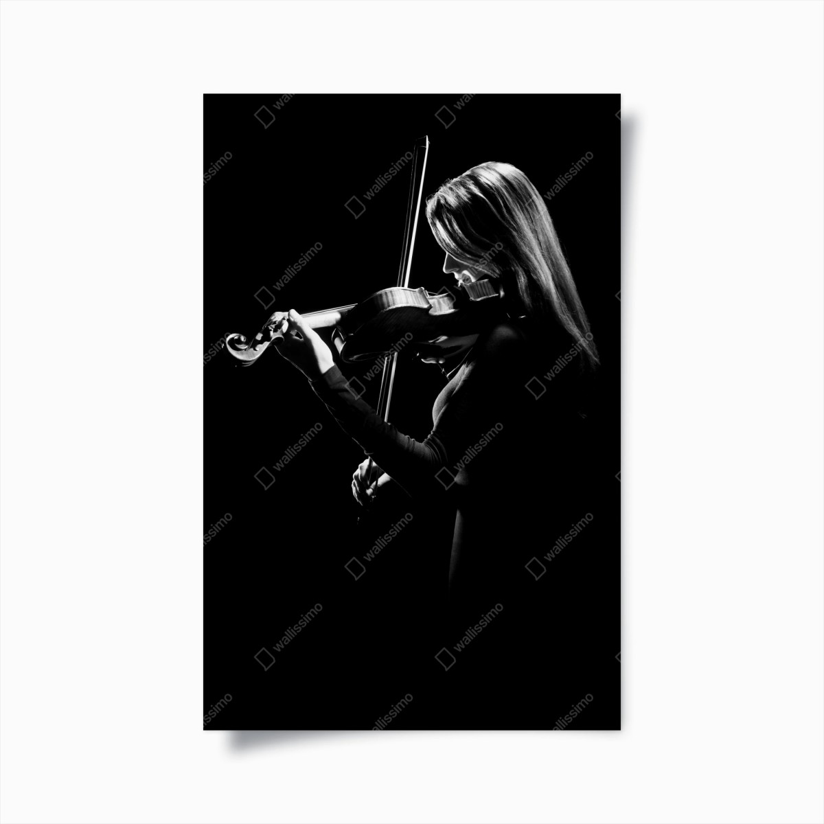 Póster violinista en luz y sombra – Pixers®
