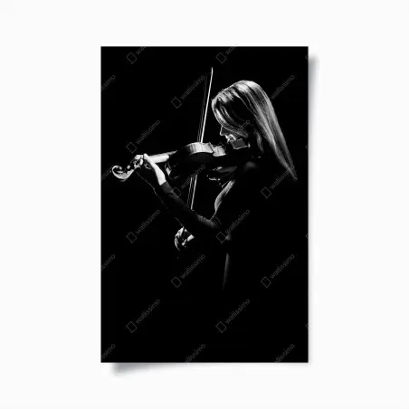Póster violinista en luz y sombra – Pixers®