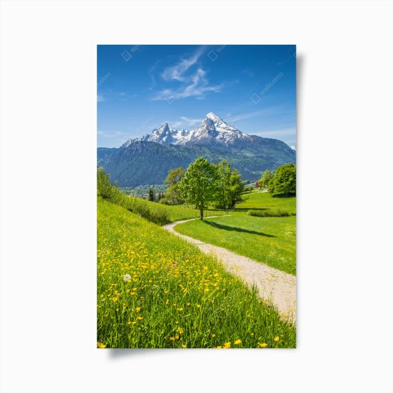 Póster paisaje alpino con sendero entre prados floridos y picos nevados