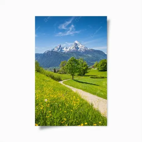 Póster paisaje alpino con sendero entre prados floridos y picos nevados – Pixers®
