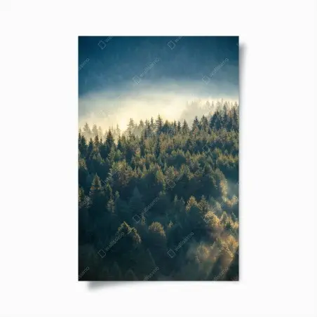 Póster bosque de pinos en la niebla – Pixers®