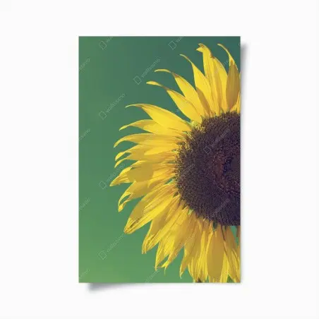 Póster girasol retro sobre cielo azul – Pixers®