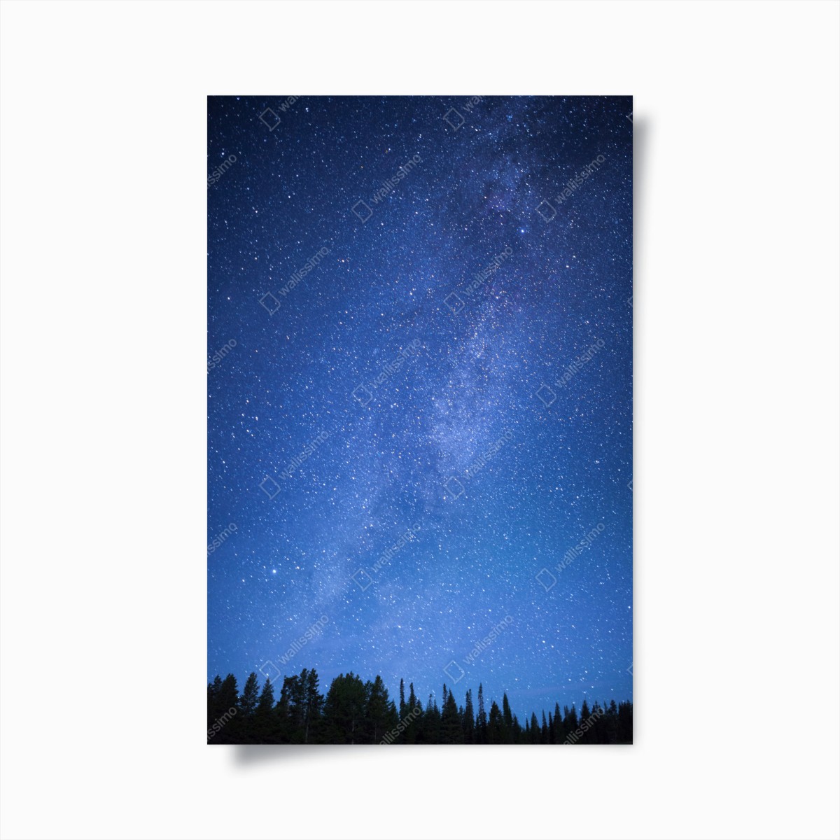 Póster cielo estrellado sobre el bosque – Pixers®