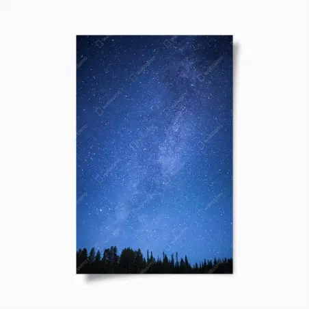 Póster cielo estrellado sobre el bosque – Pixers®