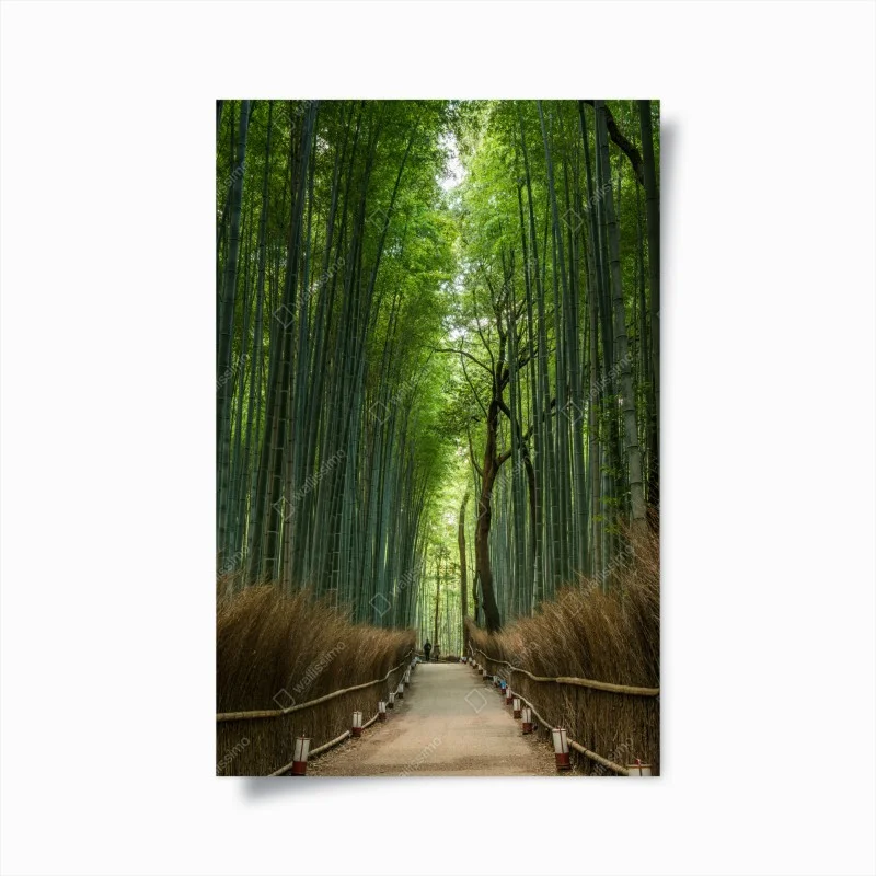 Póster sendero en bosque de bambú