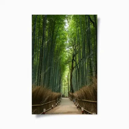 Póster sendero en bosque de bambú – Pixers®