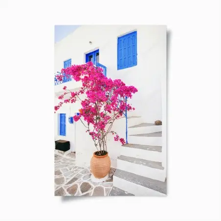 Póster fachada blanca con buganvilla fucsia y ventanas azules – Pixers®
