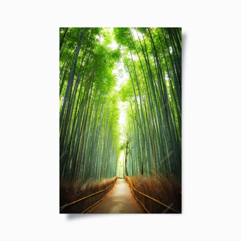 Póster sendero entre bambúes en Arashiyama