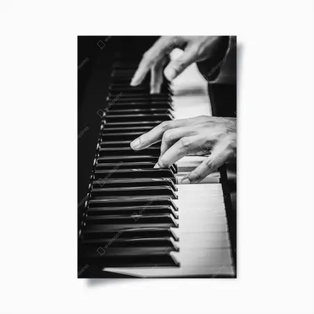 Póster manos sobre teclado de piano en blanco y negro – Pixers®
