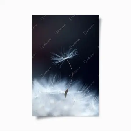Póster susurro etéreo de diente de león – Pixers®