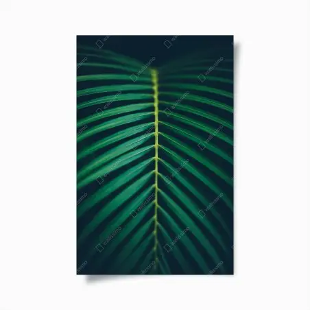 Póster hoja de palma vertical minimalista – Pixers®