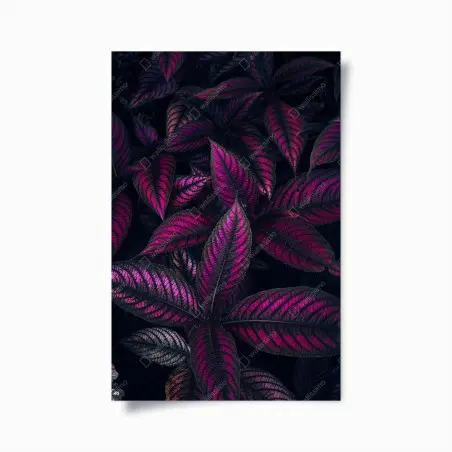 Póster hojas en tonos magenta y morado – Pixers®