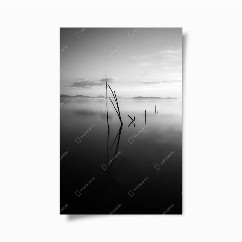 Póster paisaje minimalista en blanco y negro