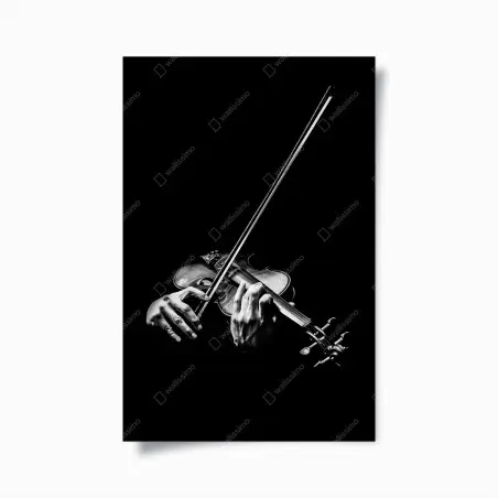 Póster intensidad del violín en blanco y negro – Pixers®