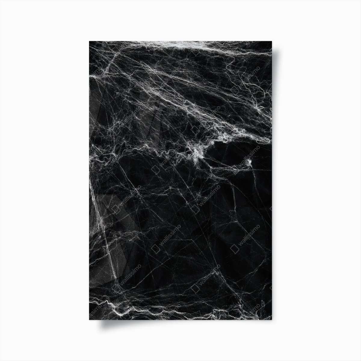 Póster telaraña fantasmal sobre fondo negro – Pixers® Póster telaraña fantasmal sobre fondo negro – Pixers®