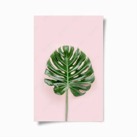 Póster hoja de monstera sobre fondo rosa – Pixers®