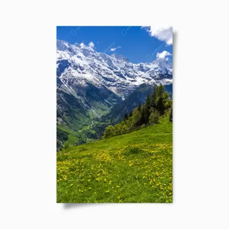 Póster pradera alpina con flores y montañas nevadas – Pixers®