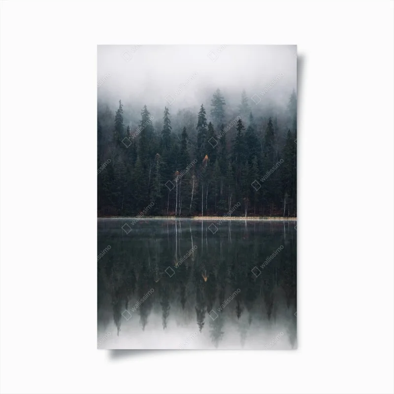 Póster bosque brumoso reflejado en lago
