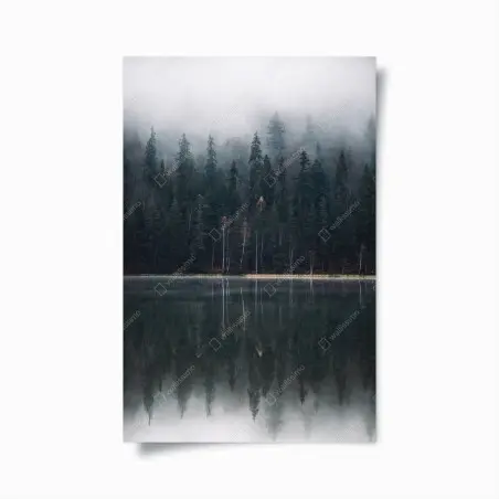 Póster bosque brumoso reflejado en lago – Pixers®