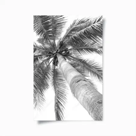 Póster vértigo de palmera tropical en blanco y negro – Pixers®